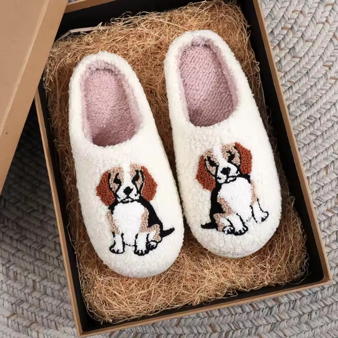 Papuče Bígel